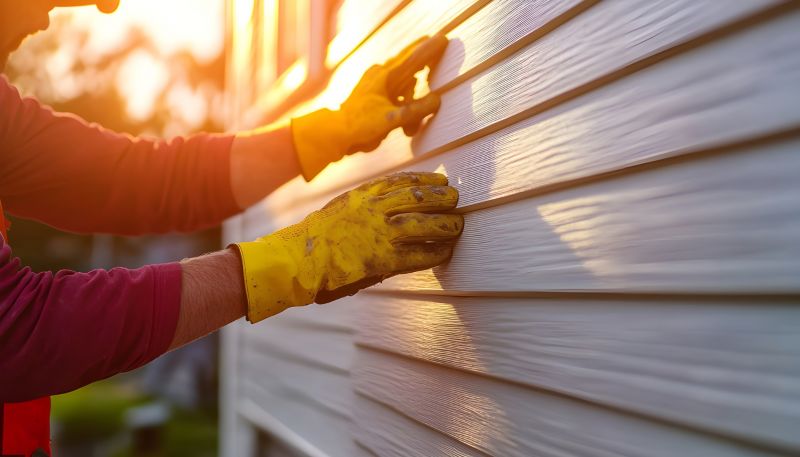 Vinyl Siding Repair - Inspection and Cleanup